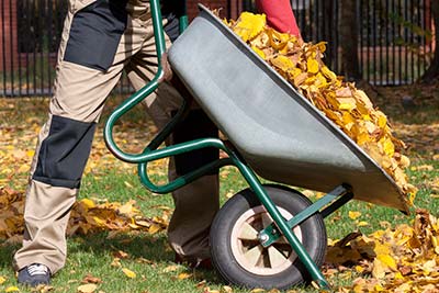 Yard Clean Up